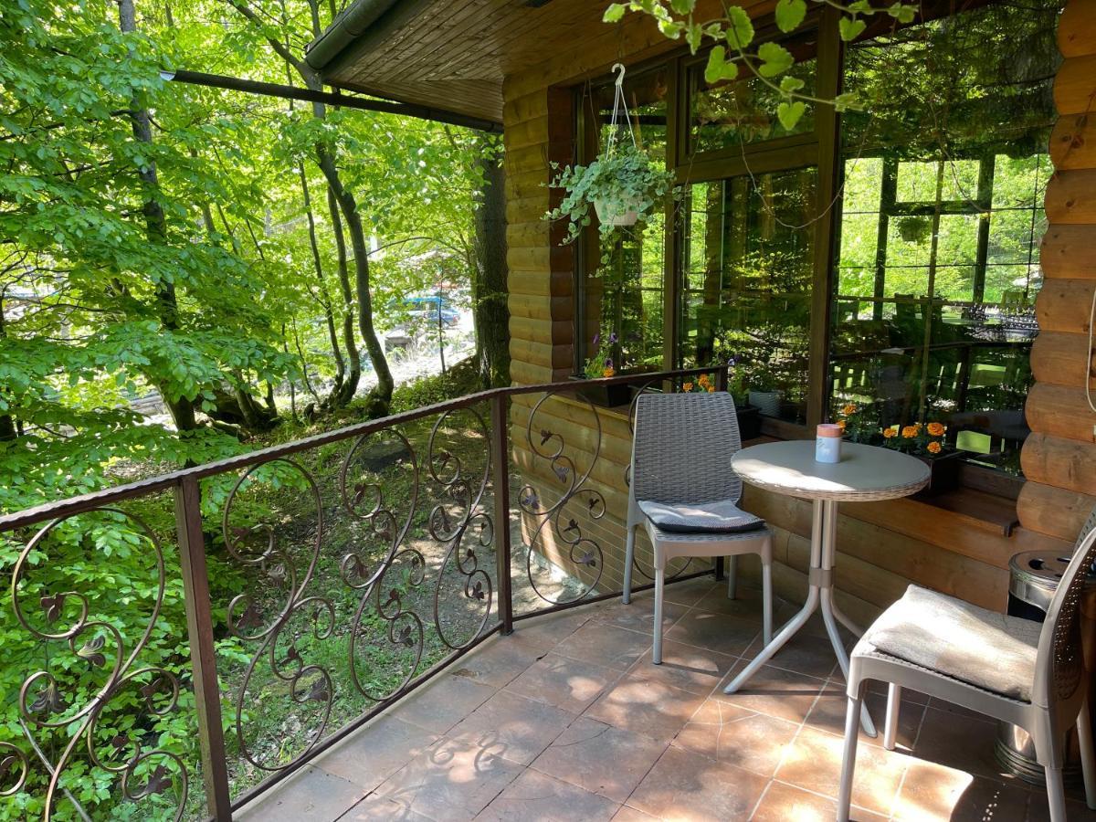 Grunok (Adults Only) Hotel Pilipets Exterior foto